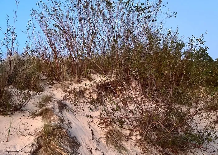 Mare 13 Marina Dziwnów&spa Basen Epapartamenty *